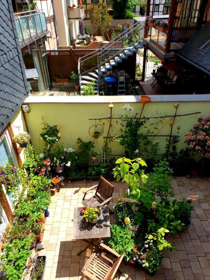 Ferienwohnung Goldstr.7 Quedlinbourg Extérieur photo